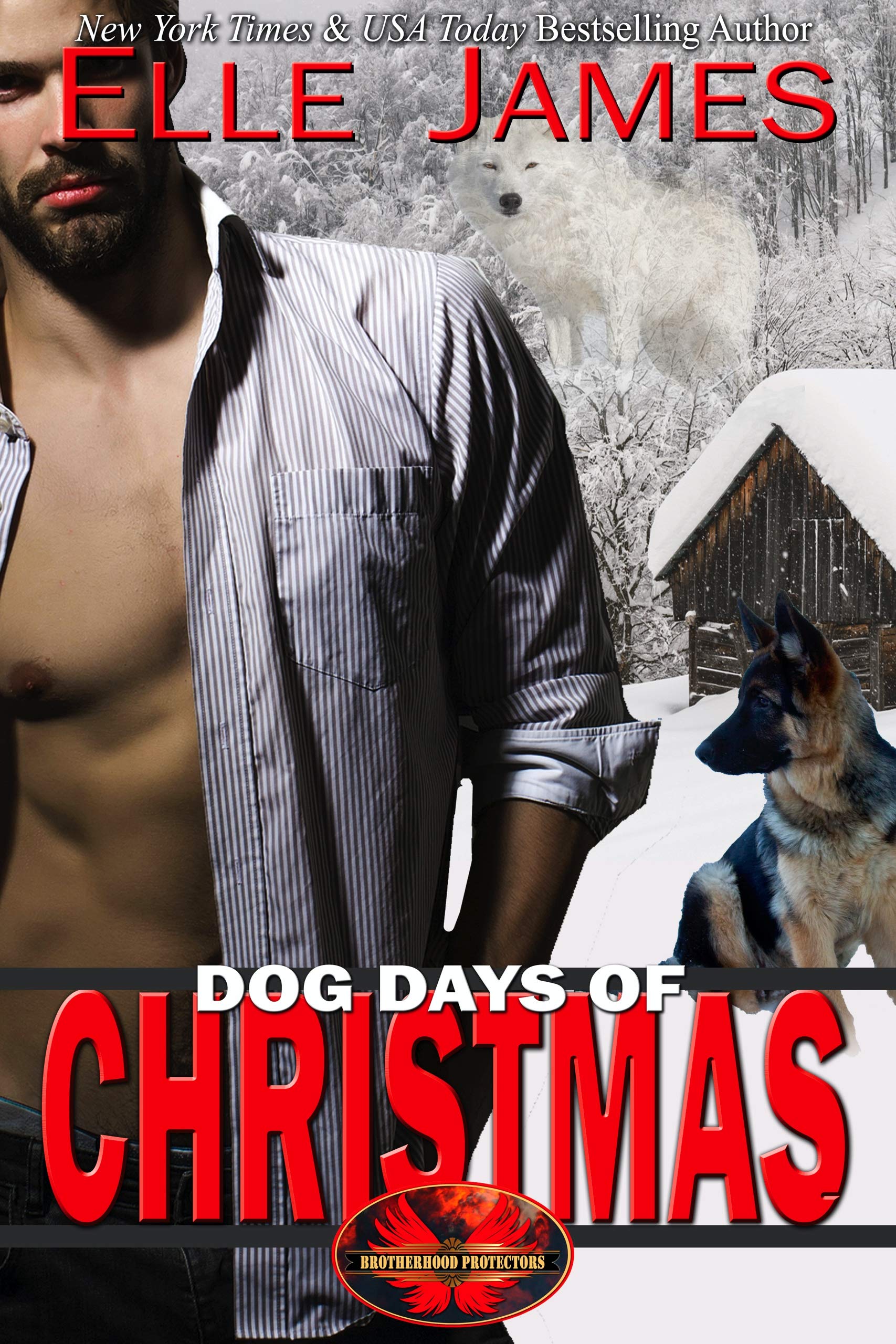 Dog Days of Christmas book cover