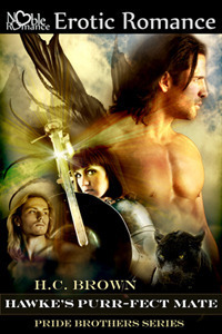 The Pride Brothers book cover 3