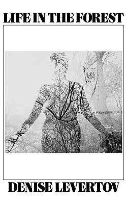 Life In the Forest book cover