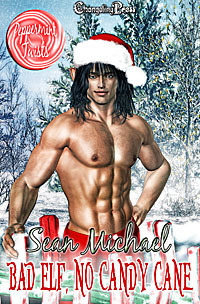 Bad Elf No Candy Cane book cover