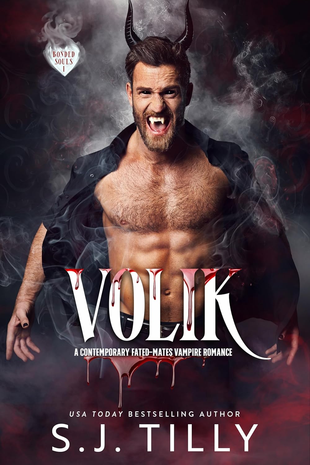 Volik book cover