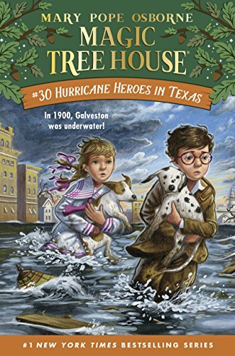Hurricane Heroes in Texas book cover