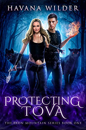 Iron Mountain book cover 1