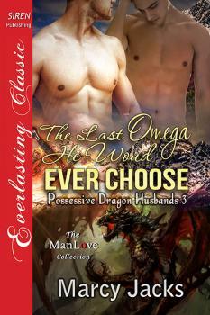 Possessive Dragon Husbands book cover 3