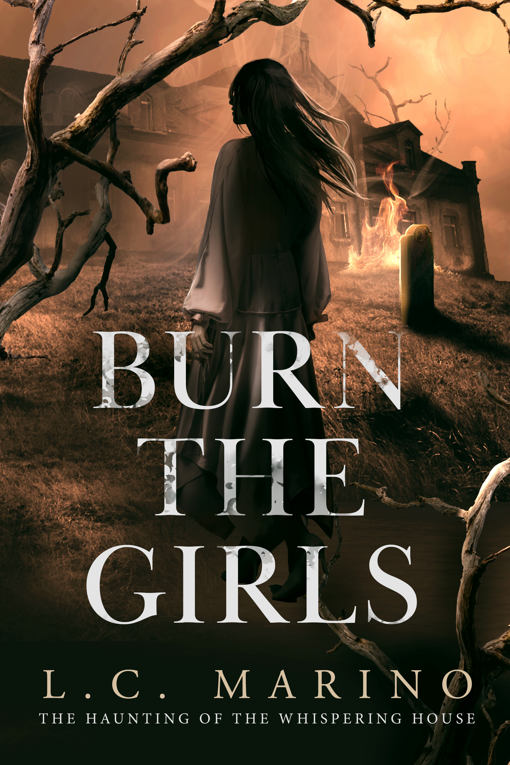 Burn the Girls book cover