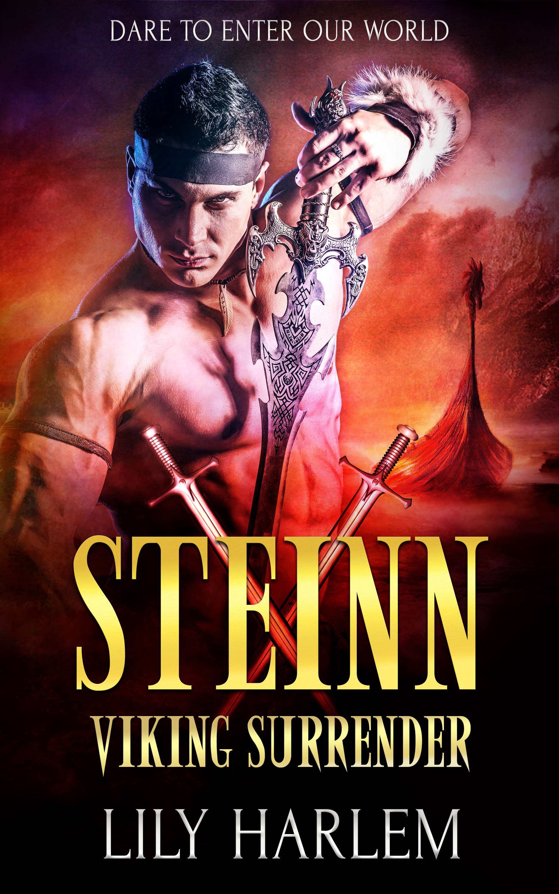 Steinn book cover