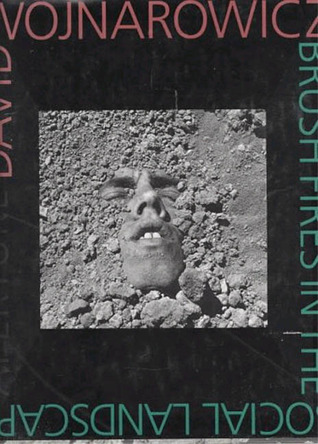 Brush Fires in the Social Landscape book cover