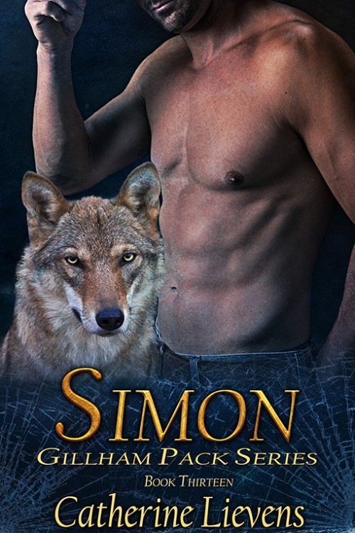 Simon book cover
