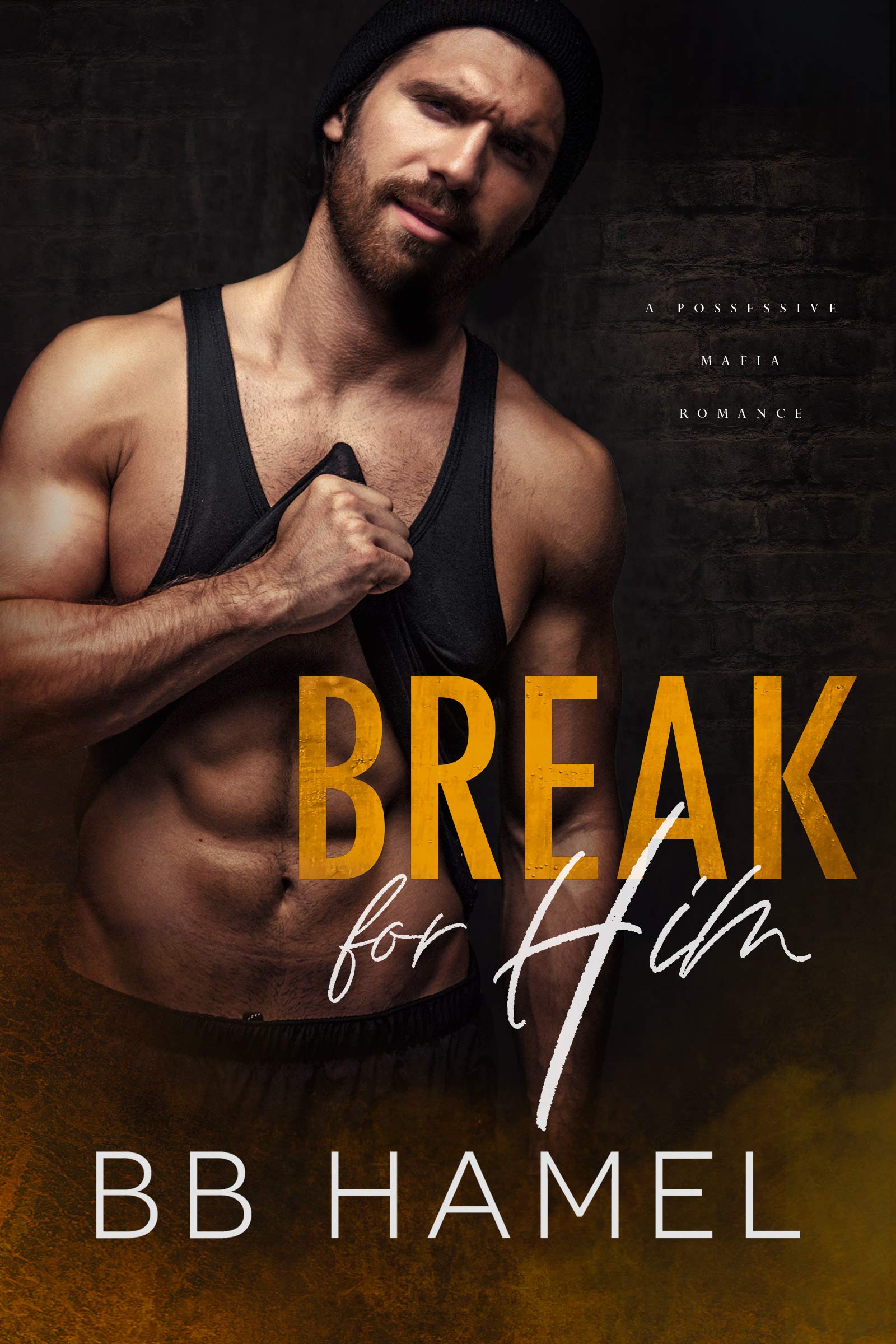 Break For Him book cover