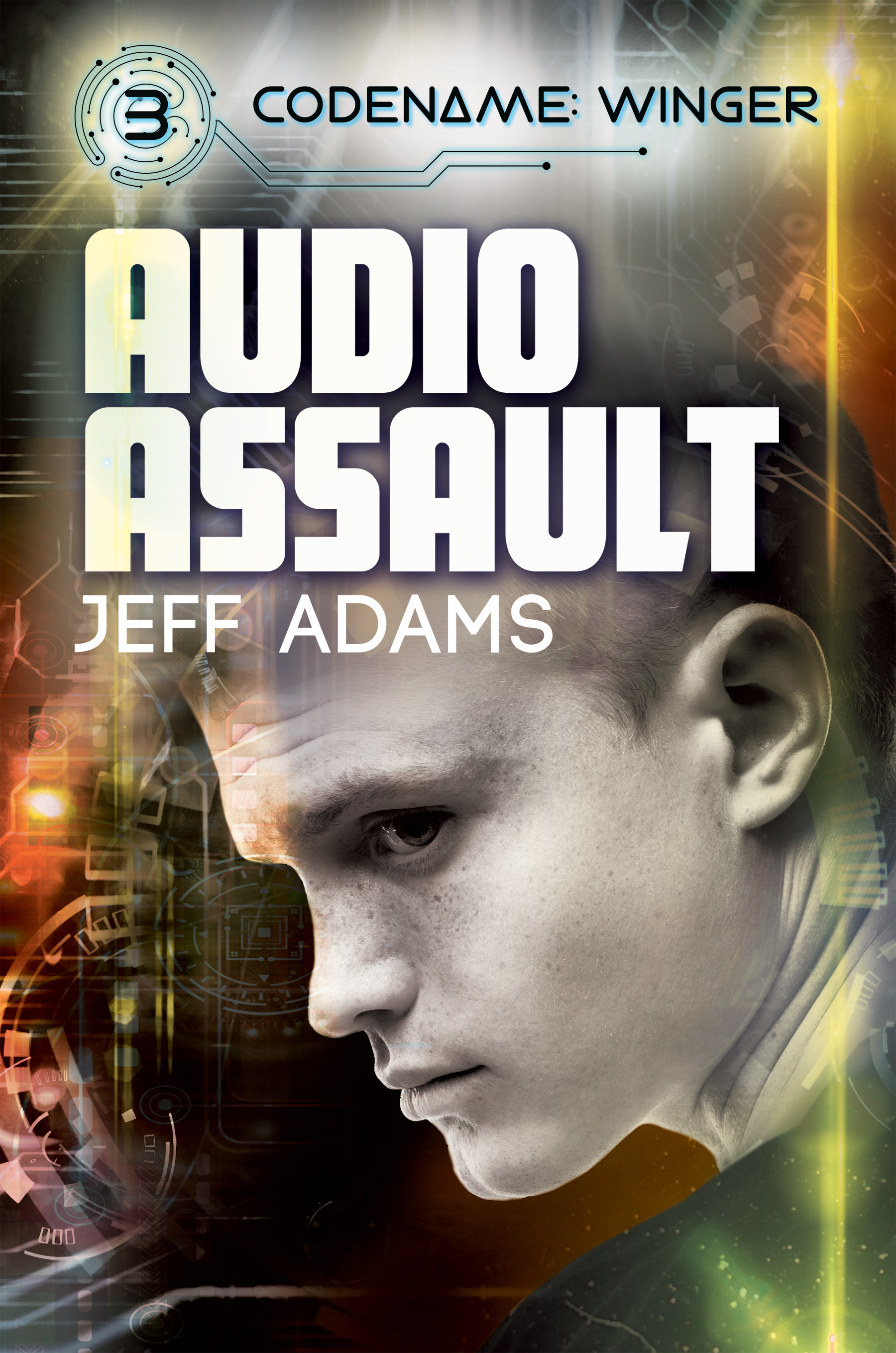 Audio Assault book cover