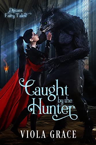 Distant Fairy Tales book cover 2