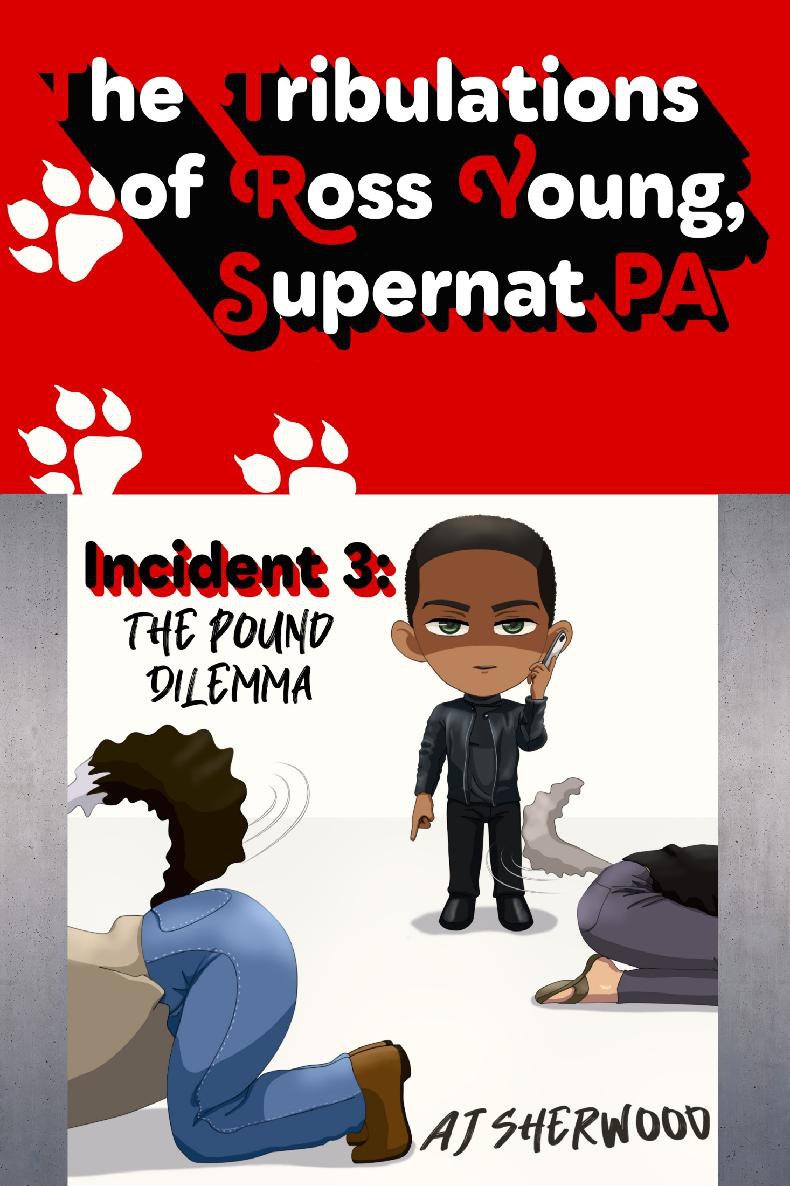 The Tribulations of Ross Young, Supernat PA book cover 3