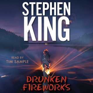 Drunken Fireworks book cover