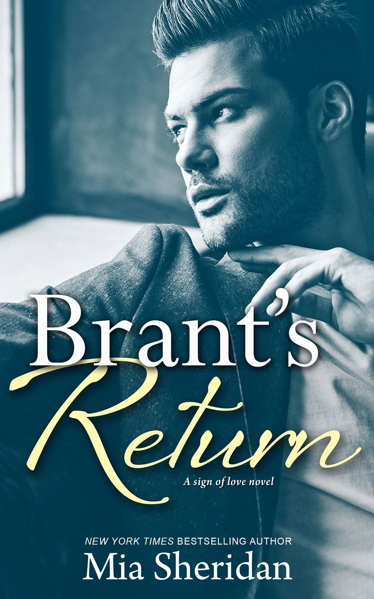 Brant's Return book cover