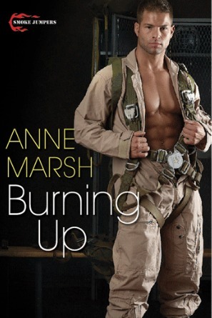 Smoke Jumpers book cover 1