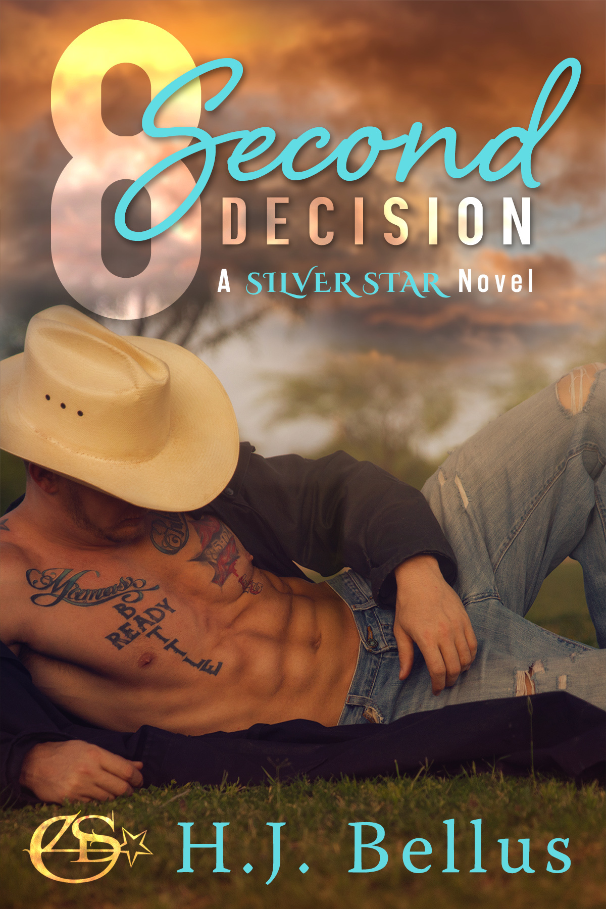 Silver Star Ranch book cover 1