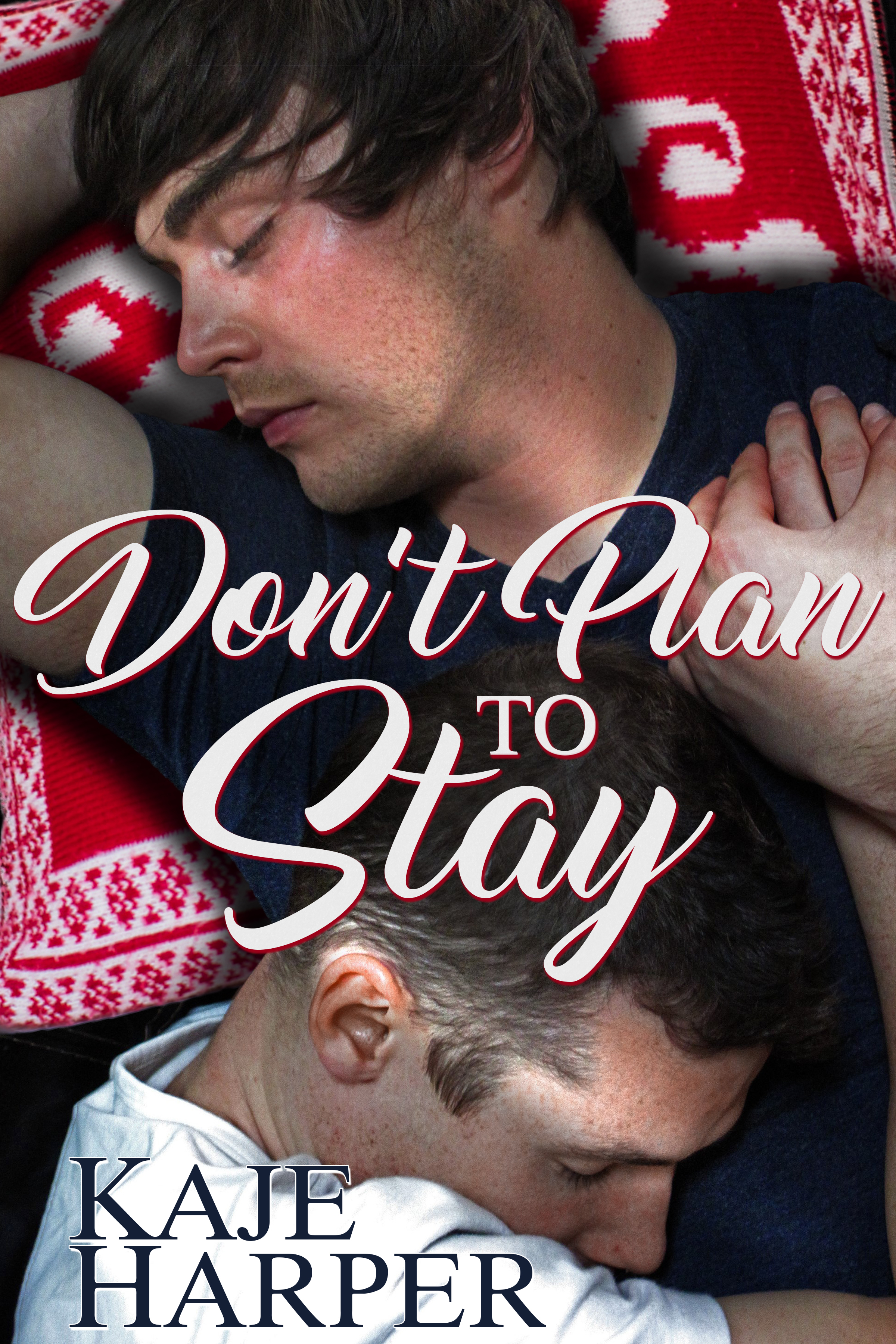 Don't Plan to Stay book cover