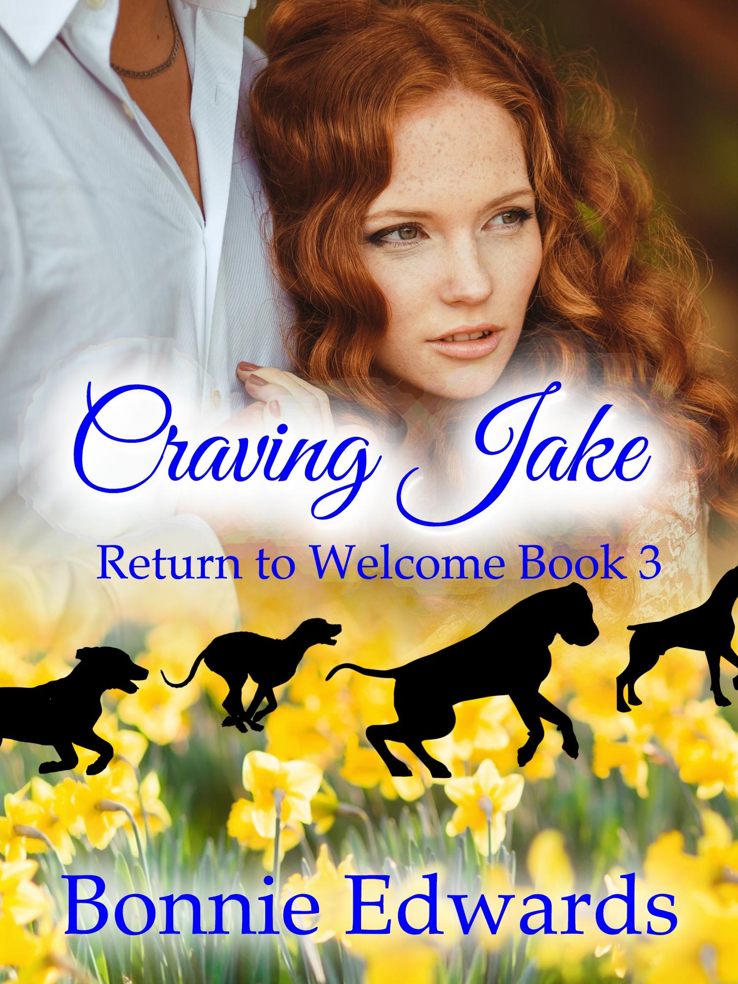 Return to Welcome book cover 3