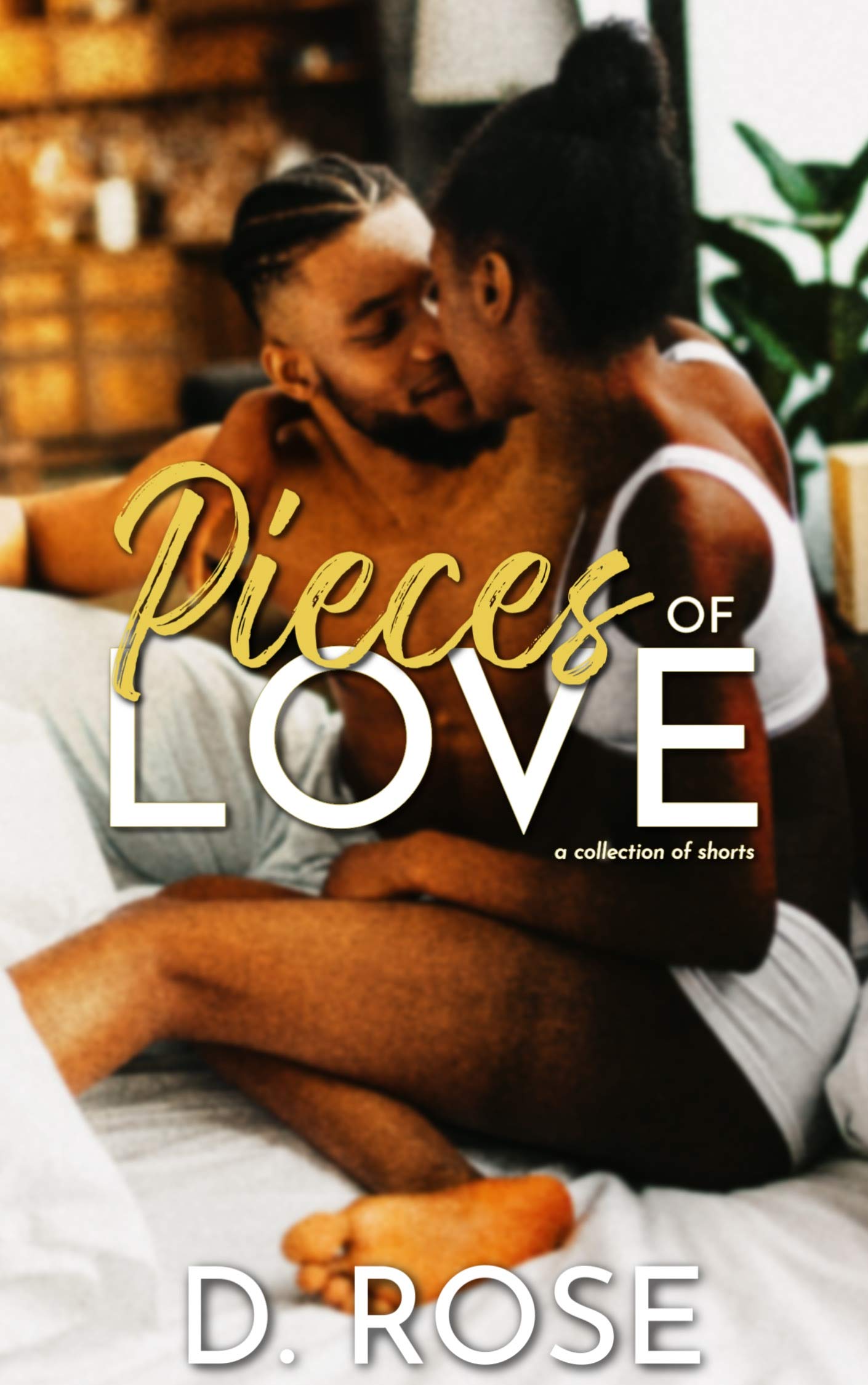 Pieces of Love book cover