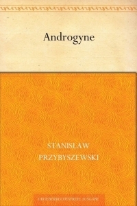 Androgyne book cover