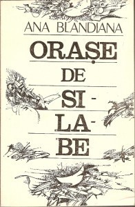 Oraşe de silabe book cover
