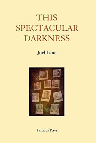 This Spectacular Darkness book cover