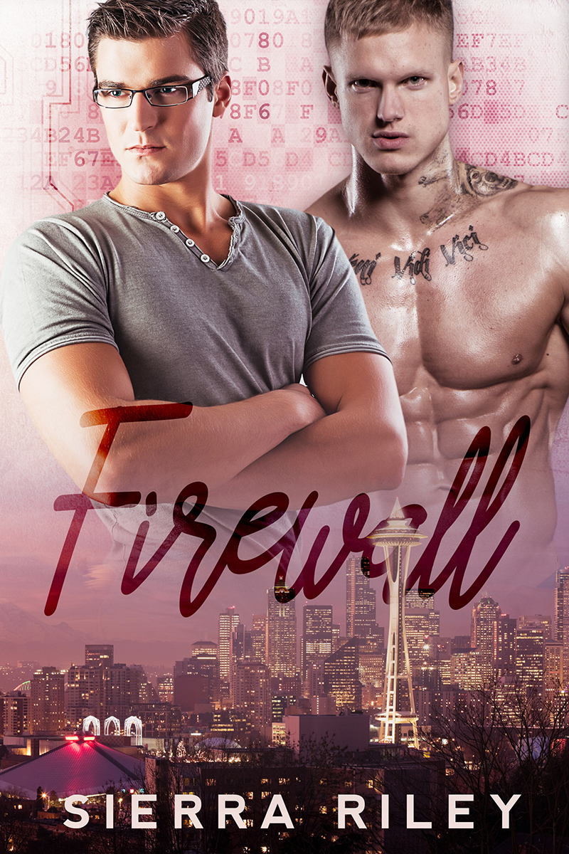 Firewall book cover