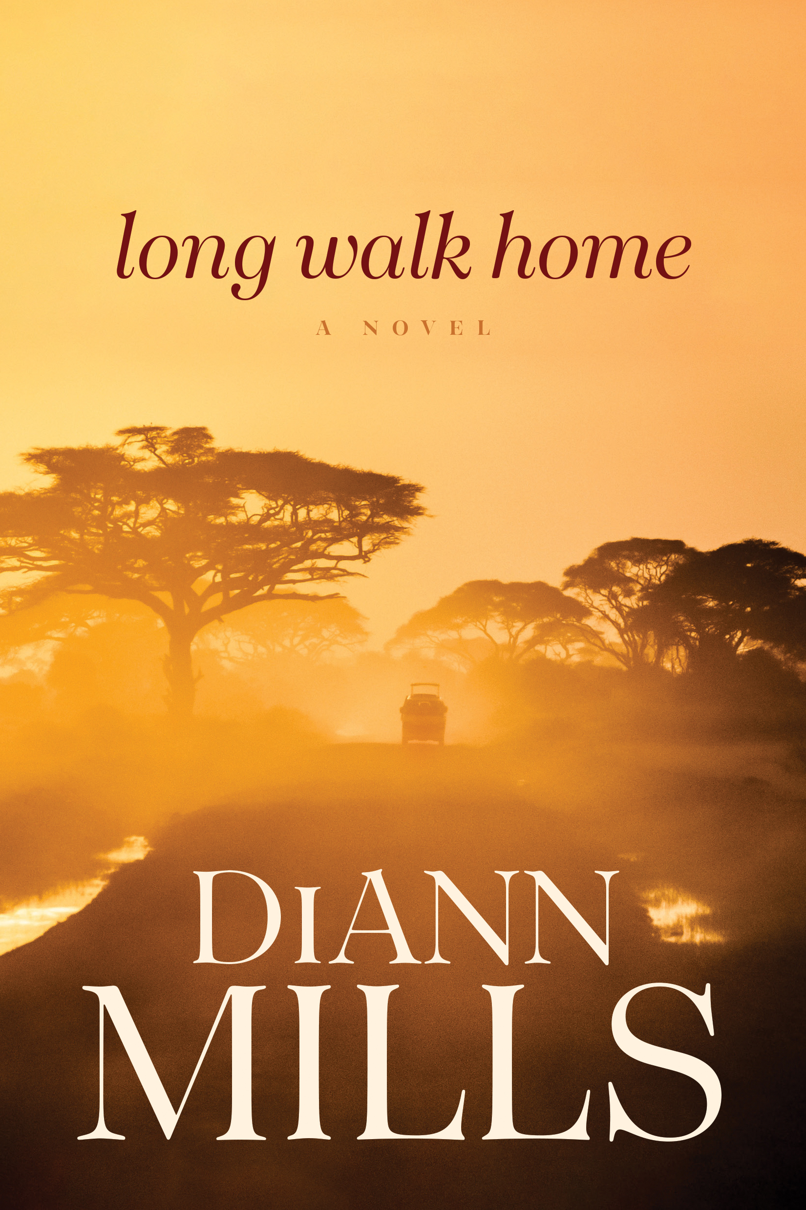 Long Walk Home book cover