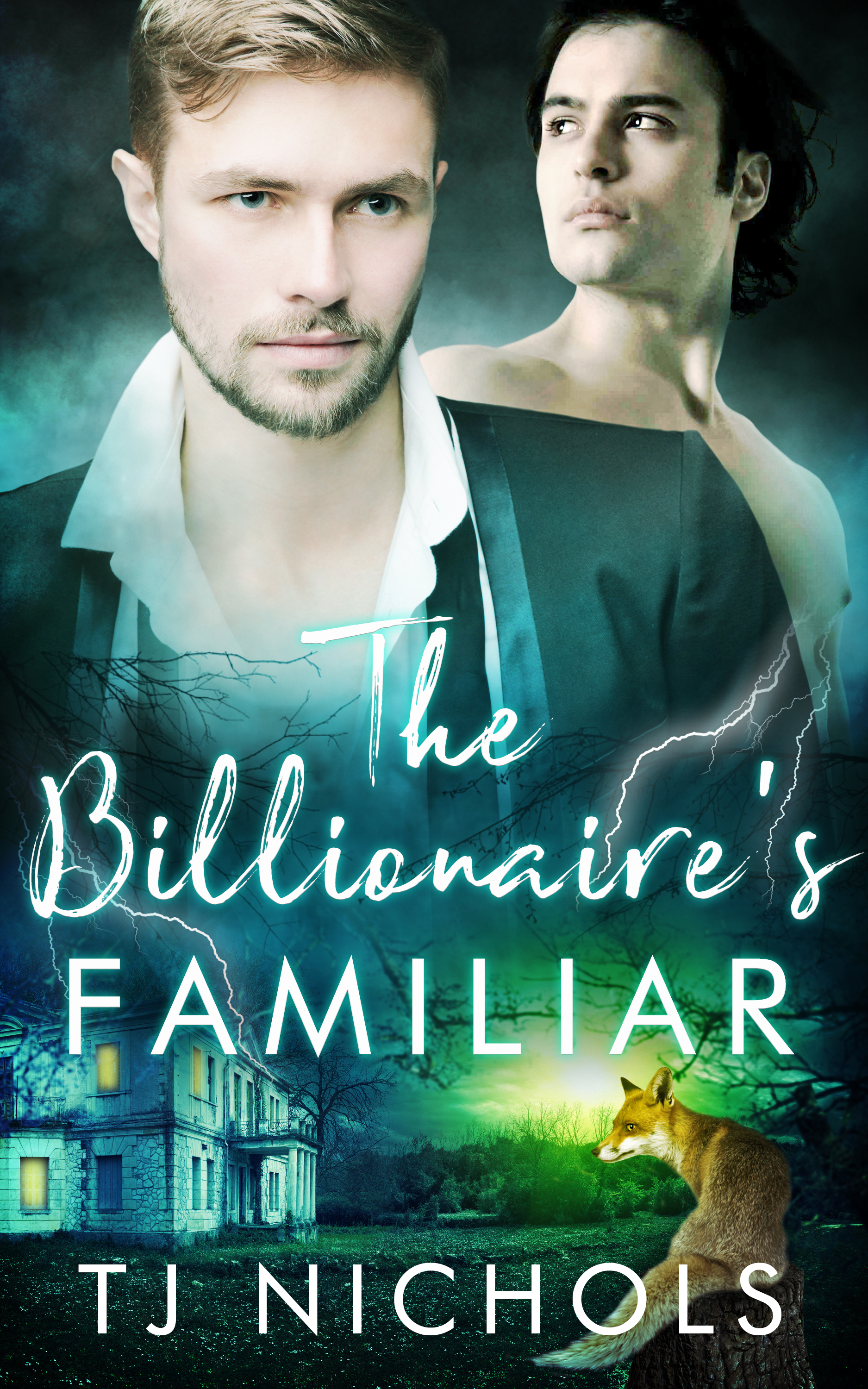 The Billionaire's Familiar book cover