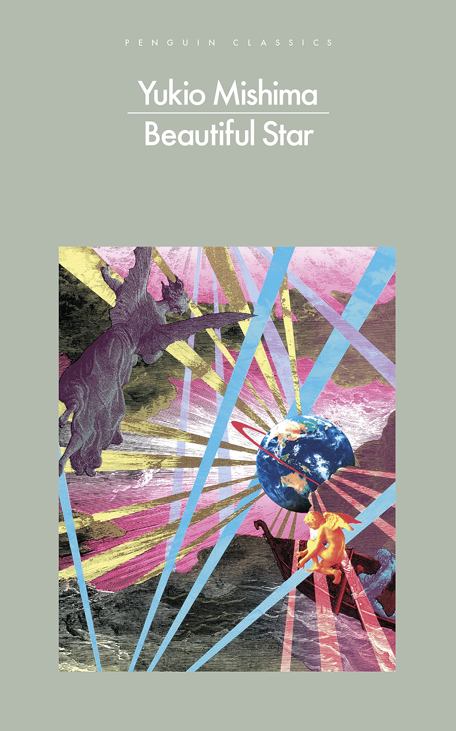 Beautiful Star book cover