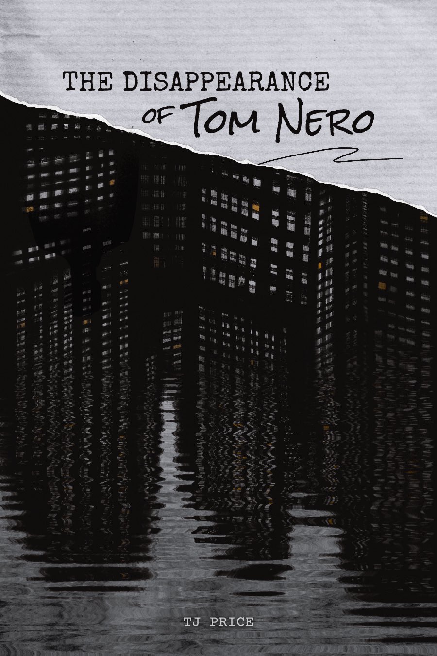 The Disappearance of Tom Nero book cover