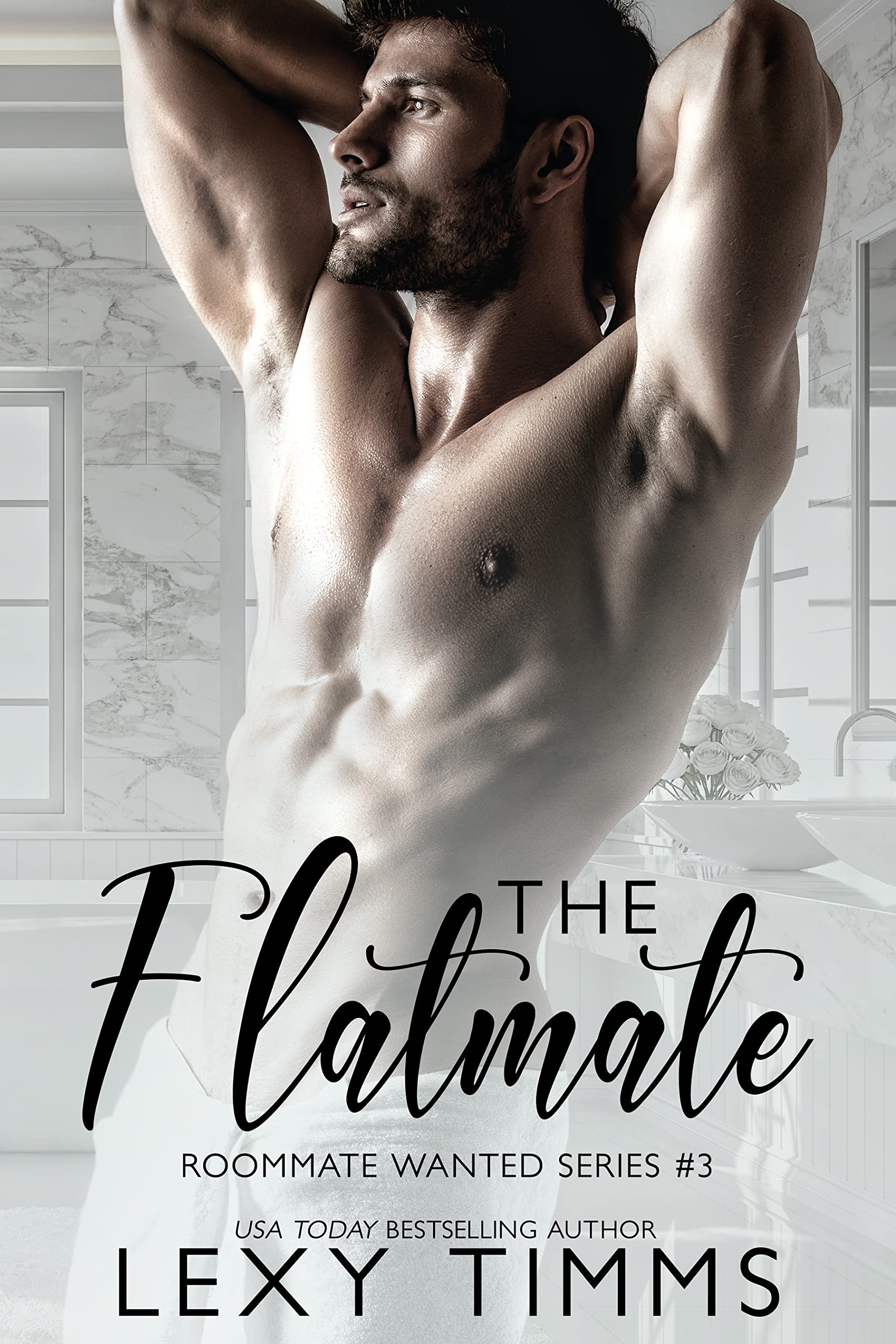 Roommate Wanted book cover 3