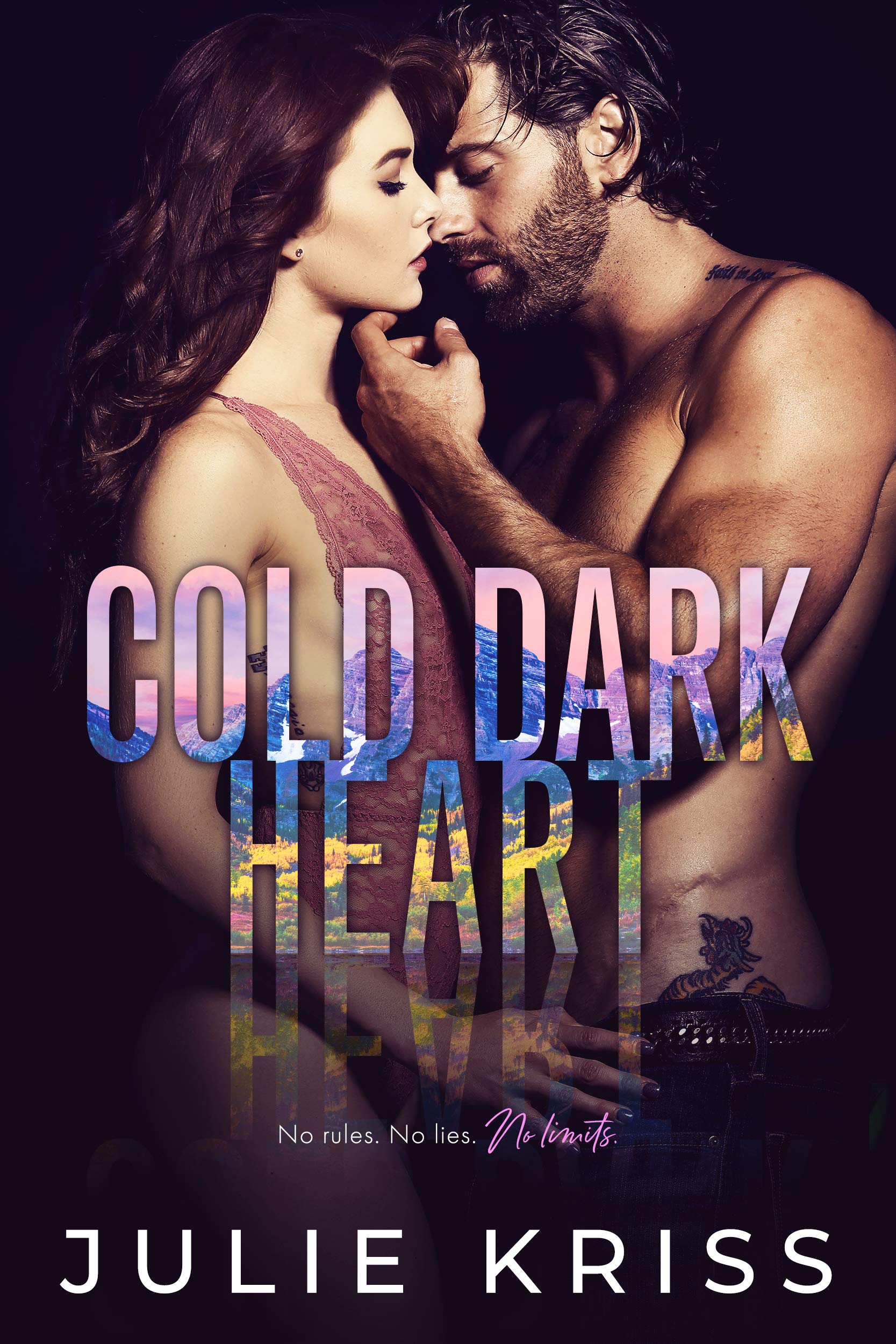 Cold Dark Heart book cover
