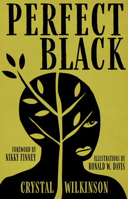 Perfect Black book cover