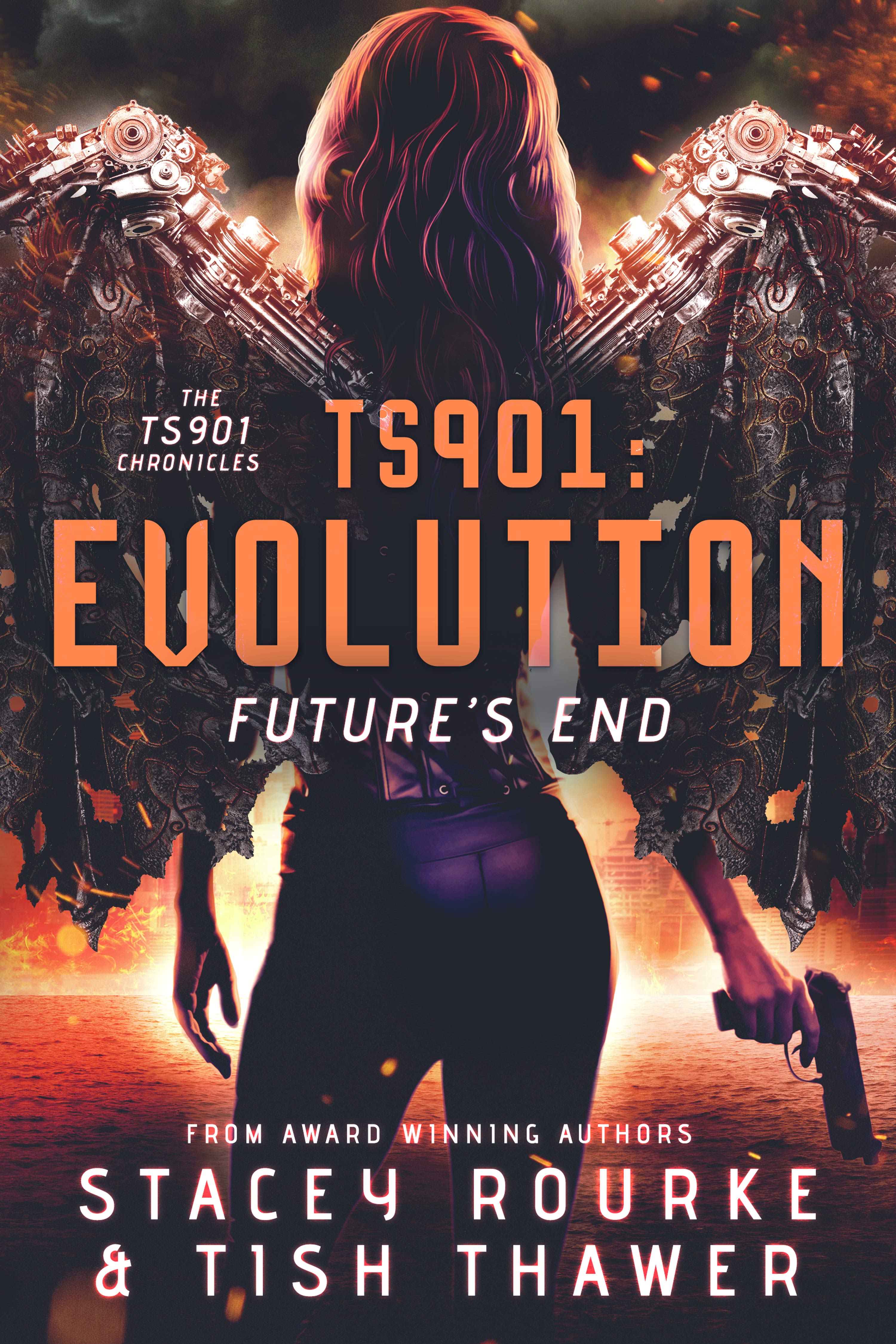 TS901 Chronicles book cover 3