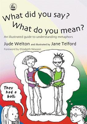 What Did You Say? What Do You Mean? book cover