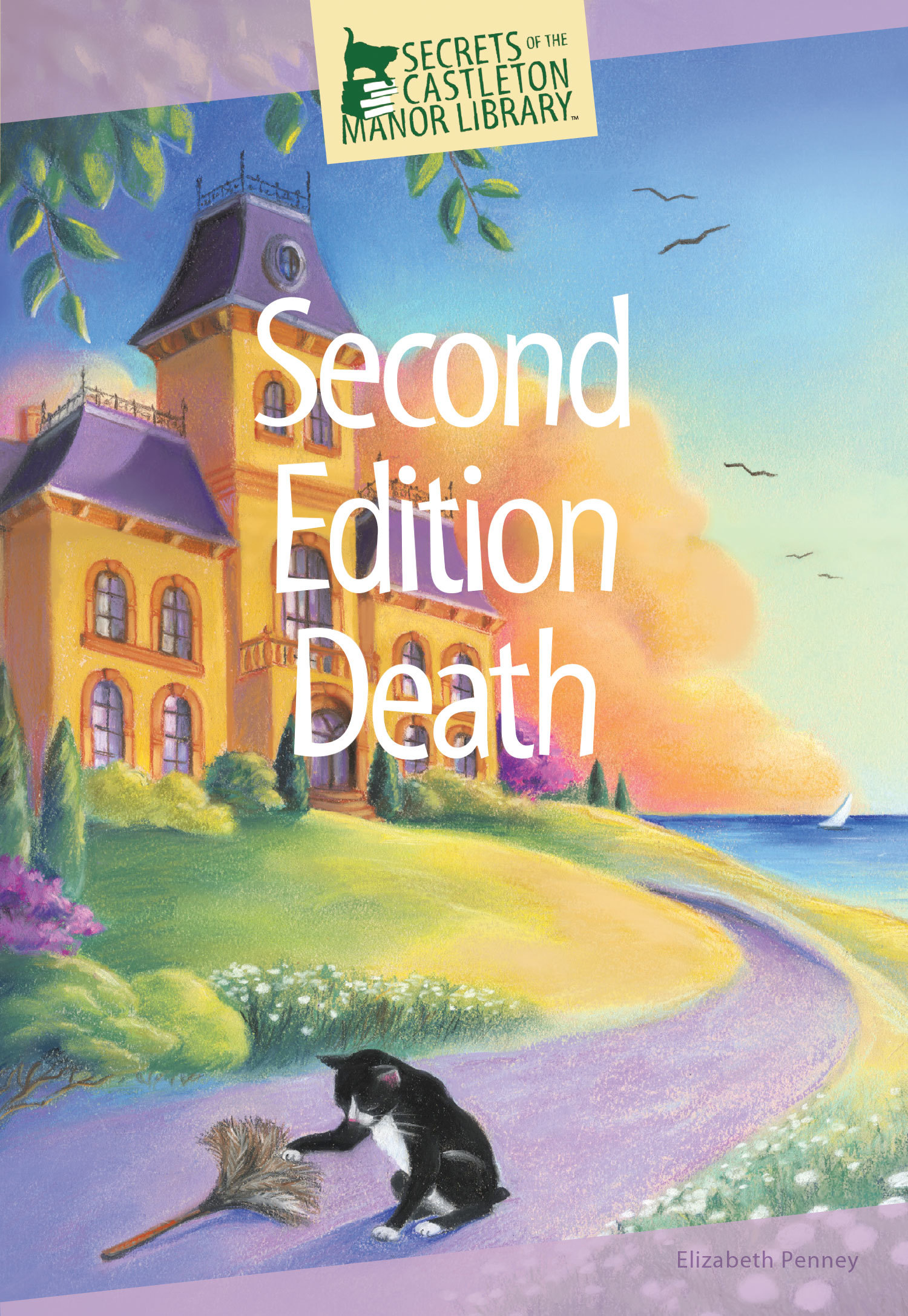 Second Edition Death book cover