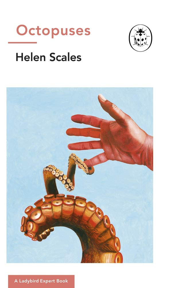 Octopuses book cover