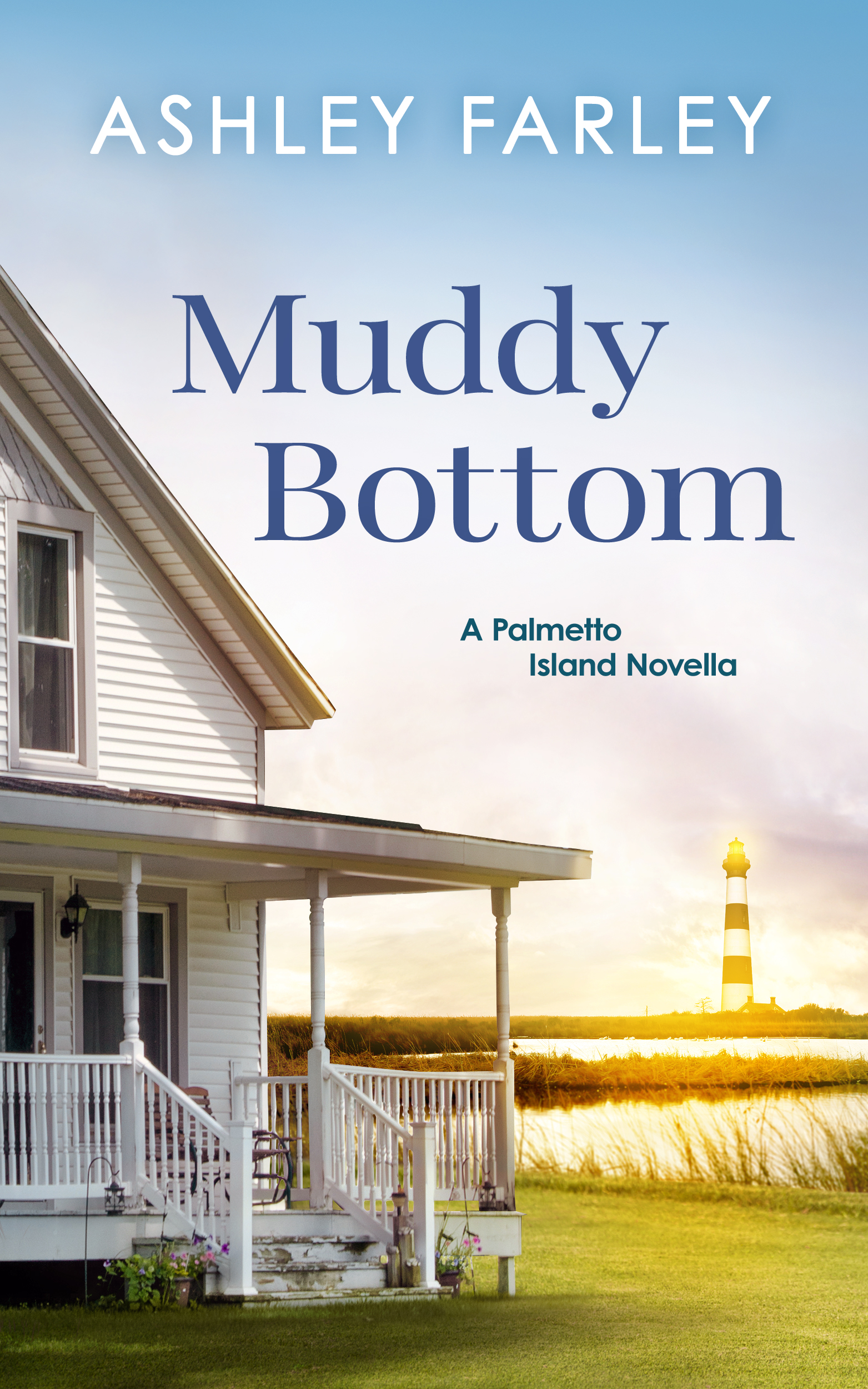 Palmetto Island book cover 1