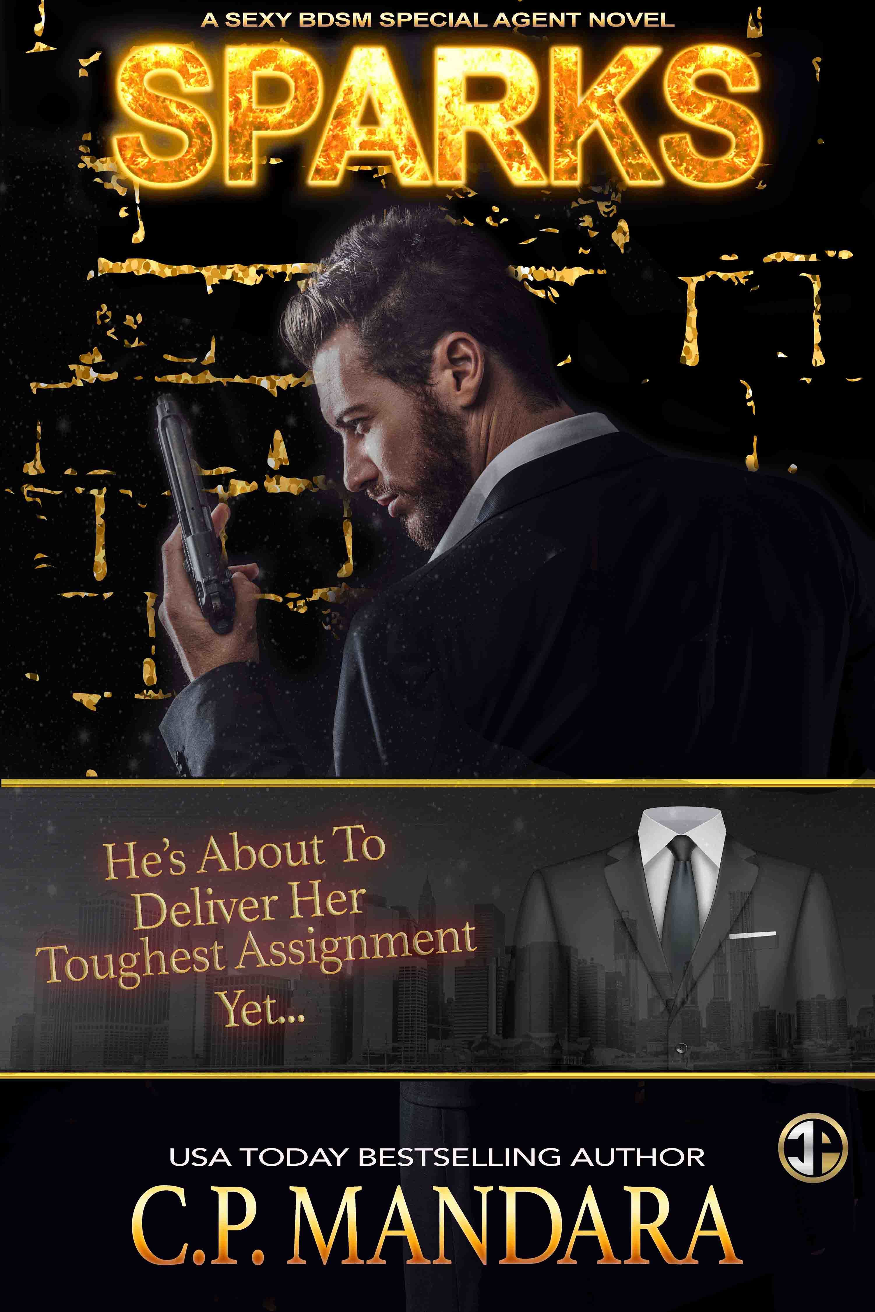 Special Agent BDSM book cover 1
