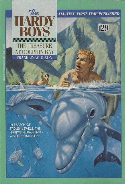 The Treasure at Dolphin Bay book cover