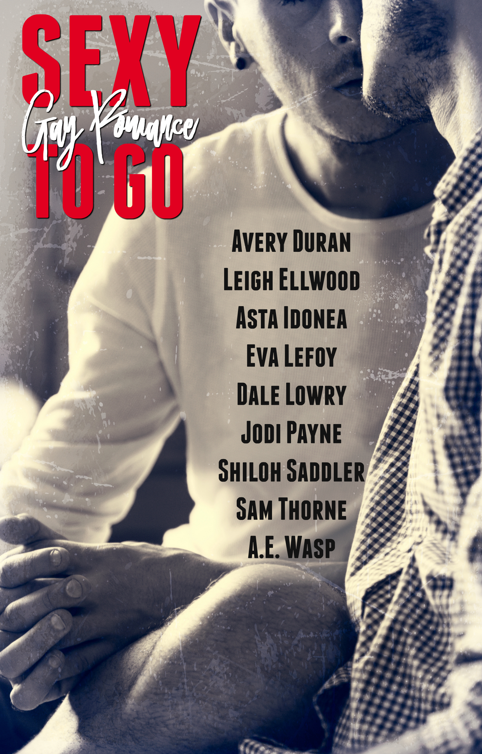 Sexy to Go book cover