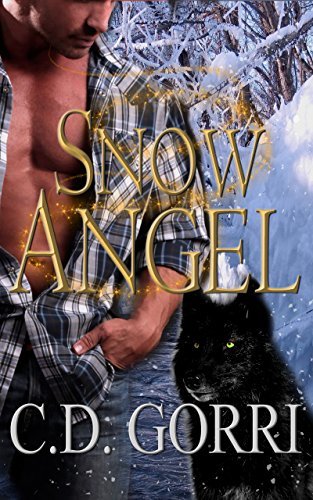 Snow Angel book cover