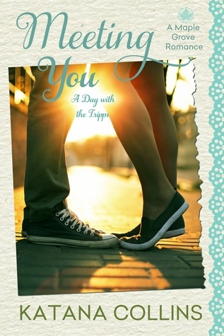 Meeting You book cover