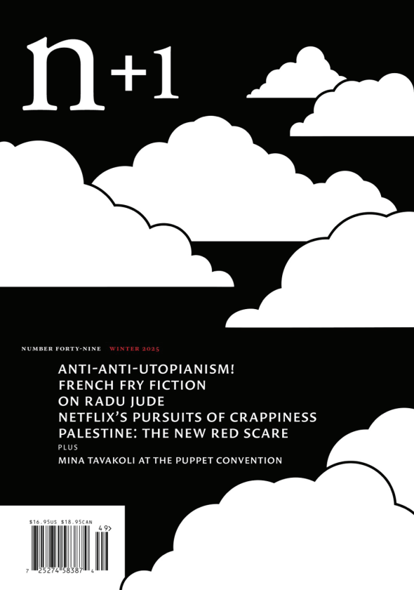 n+1 Issue 49 book cover