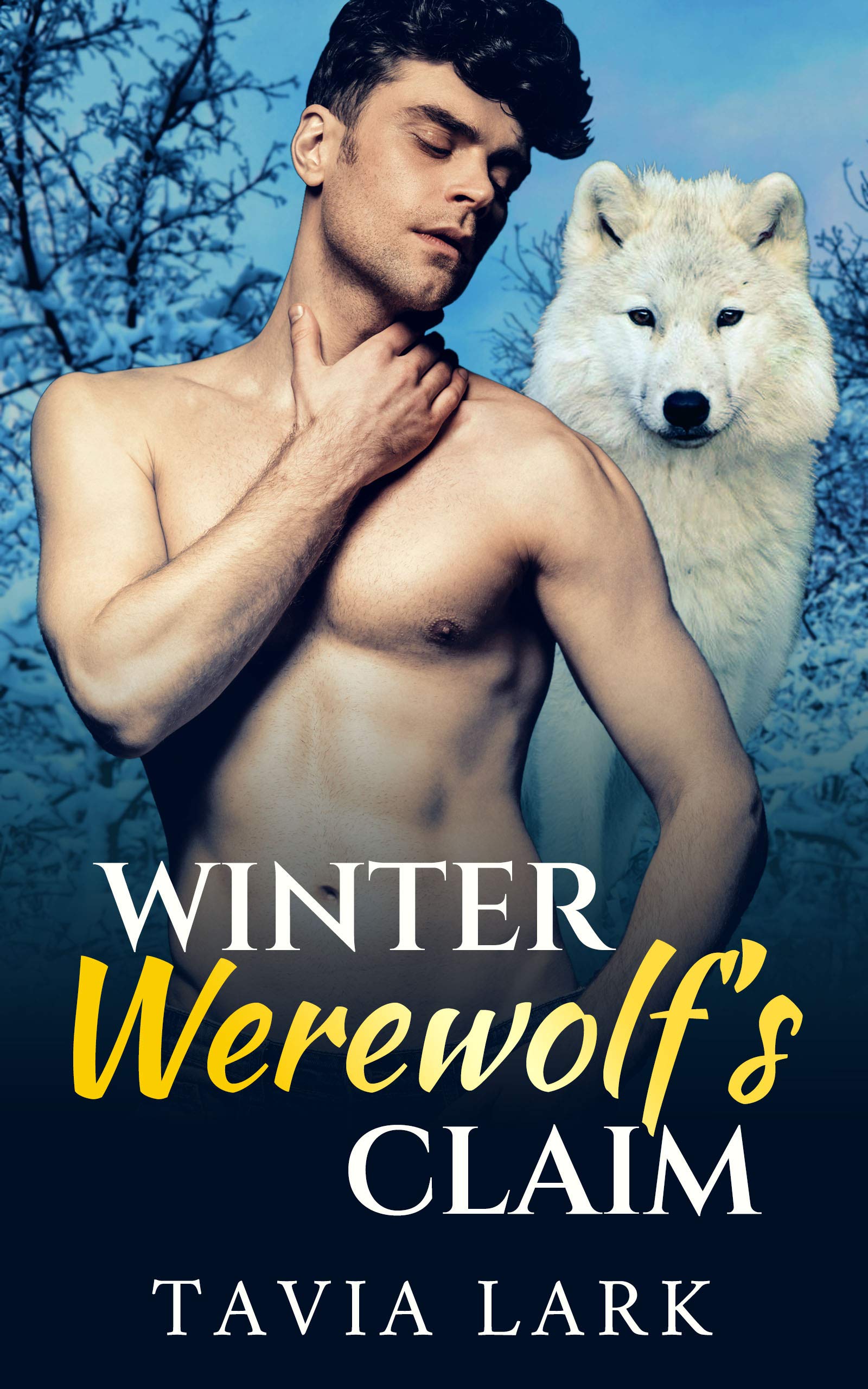 Seasons of Seduction book cover 1