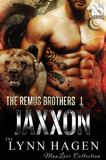 The Remus Brothers book cover 1