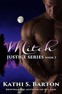 Justice book cover 3