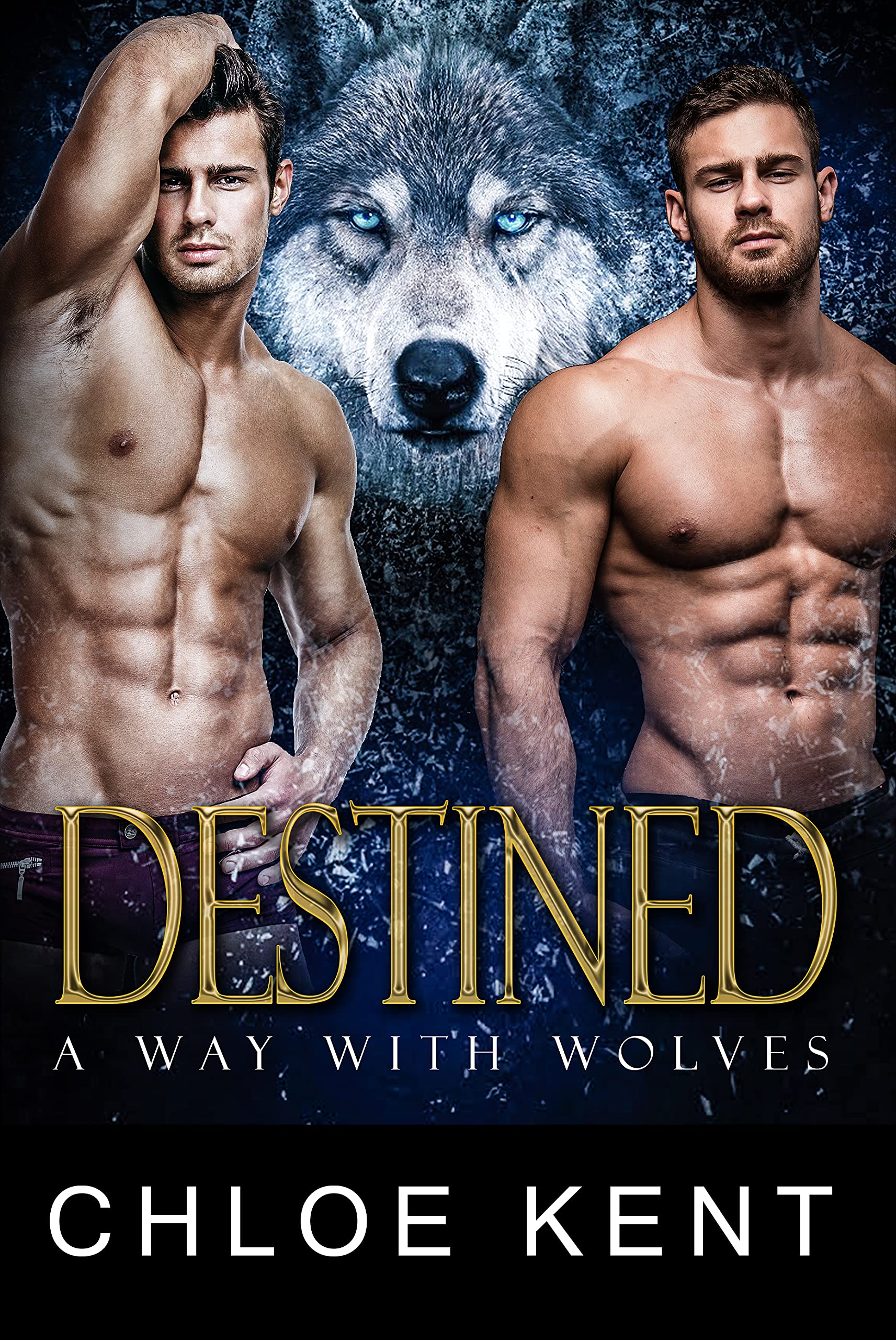Destined book cover