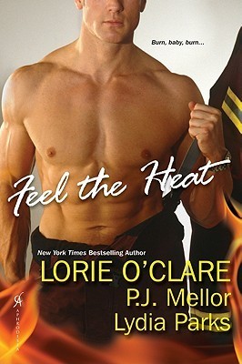 Feel the Heat book cover